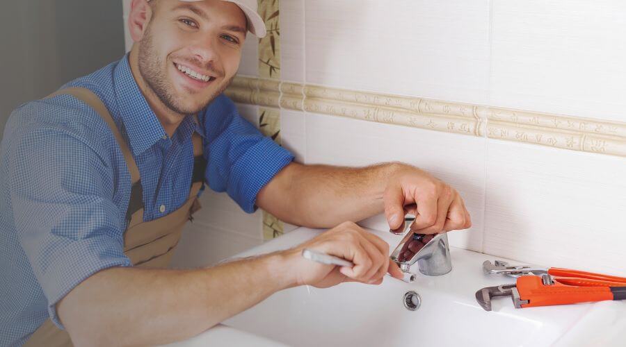 Professional Leak Detection Services services in Rosenhayn, NJ